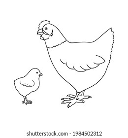 Rahmenvektorgrafik Hen and Chick. Handgezeichnetes Geflügel. Serie von Tieren, Landtieren. Doodle, Kontur-Design-Element einzeln für die Färbebuchseite, Hühnerfleischerzeugung, Tierzucht-Thema
