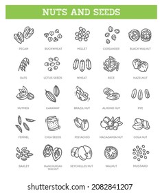 outline vector icons collection - nuts and seed