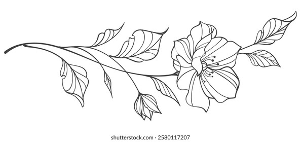 Outline Vector illustration of aflower, branch of a tree