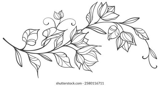 Outline Vector illustration of a branch of a tree