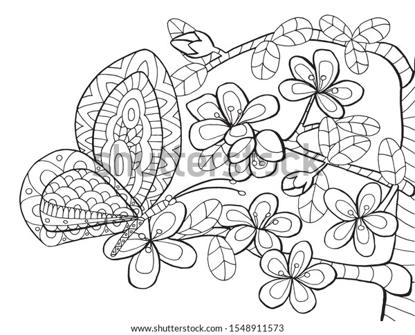 outline vector illustration butterfly spring tree stock