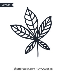 Outline vector illustration of chestnut leaf, isolated on white background.