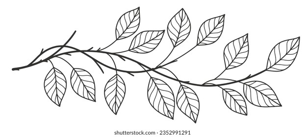 Outline vector illustration of leaf twigs