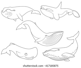 Outline vector illustration of set cartoon cute whales on white background for coloring book, sea animals set, collection of sea creatures