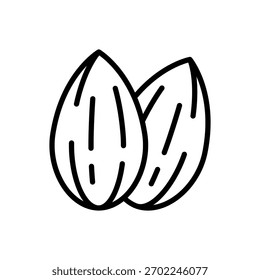 Ilustración vectorial de contorno que muestra dos semillas enteras de almendra en estilo lineal simple