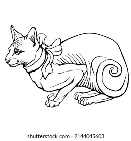 Outline vector illustration of sphinx cat. Black and white line art of cute pet.