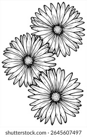 Ilustración vectorial de tres flores aisladas sobre fondo blanco.