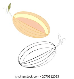 An outline vector illustration of two cut melons isolated on transparent background. Designed in orange, pink, black and white colors as a coloring book page