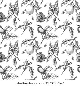 Outline vector lemon seamless pattern. Lemonade citrus repeat. Lemon leaves, branches and flowers.
