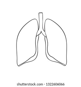 Outline vector lungs on white background. Doodle human organ. 