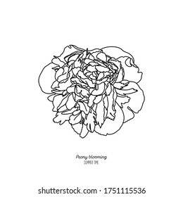 outline vector peony flower. Single contour element for logo, icon, tattoo, stamp, stencil design. Peony, rose blooming summer time. concept of longevity, love. Stock illustration isolated on white