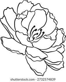 Umrissvektor der Pfingstrose geeignet für Ikone, Blumenanordnung, Hochzeit, Jubiläum, Geburtstag, Graduierung und so weiter