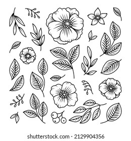 Rahmenvektoranlagen. Gravierte Kontur Sommerblumen und Blätter Set. Blumensammlung handgezeichneter botanischer Elemente einzeln. Line Art Illustration für Grußkarte, Einladung, Farbseite