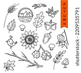 Outline vector set autumn. Collection with leaves, nature, autumn clothes, warm drinking, and vegetables
