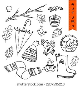 Outline vector set autumn. Collection with leaves, nature, autumn clothes, warm drinking, and vegetables