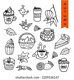 Outline vector set autumn. Collection with leaves, nature, autumn clothes, warm drinking, and vegetables