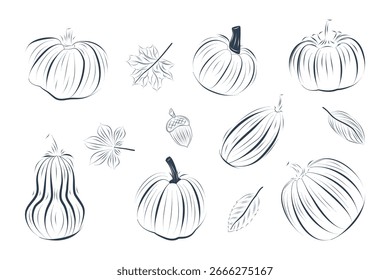 Umrissvektorsatz von Herbstkürbissen und Herbstblättern in verschiedenen Formen. Perfekt für Ernte- und Erntedankdekor, Halloween-Karten, Poster und Banner.