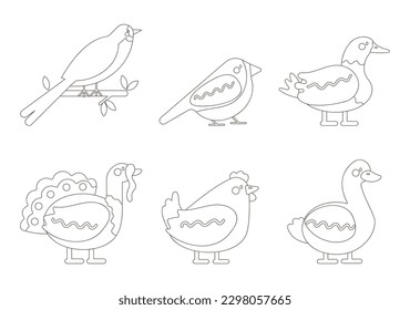 Umriss-Vektorset mit Vogelschlauch, Sperling, Gans, Ente, Truthahn, Huhn