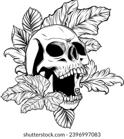outline vector skull in black
