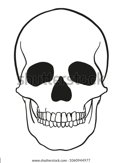 Outline Vector Skull Black Stock Vector Royalty Free 1060944977