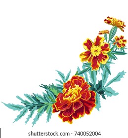 outline vector stains naturalistic flowers marigold nasturtium with leaves bright orange with in the form of diagonal