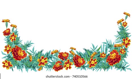 outline vector stains naturalistic flowers marigold nasturtium with leaves bright orange with in the form of half a frame