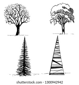 Outline Vector stylized tree silhouette nature eco botanical collection of architectural monochrome black and white graphics
