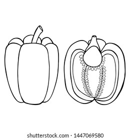 Outline vegetable pepper paprika. Line art design. Healthy eating. Fresh fruit. Vegetable diet. Vector isolated outline drawing. 