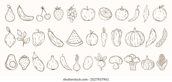 Outline vegetables and fruits collection. Hand draw doodle fruit and veggie icon set. Healthy food icons