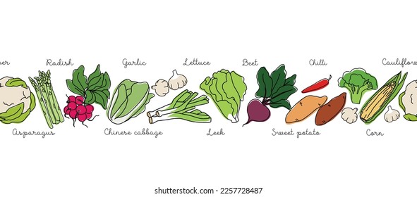 Outline vegetables seamless banner with colored elements . Collection different types of vegetables in line art drawing style.