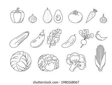 Outline vegetables set. Vector simple icons. Organic food.