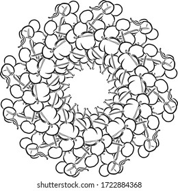 Outline version of cherries arranged in a circle. Seamless round composition with hand drawn fruits. Vector illustration on white