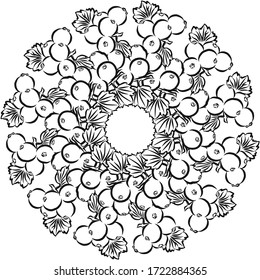 Outline version of currants arranged in a circle. Seamless round composition with hand drawn fruits. Vector illustration on white