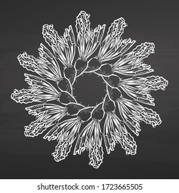 Outline version of Sugar Beet arranged in a circle. Seamless round composition with hand drawn veggies. Vector illustration on blackboard