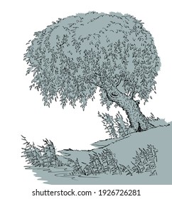Outline vintage black ink pen hand drawn peace calm fall brook path scene retro art doodle line engrave style. Closeup quiet creek cane grass plant land bank scenic view white sky text space backdrop