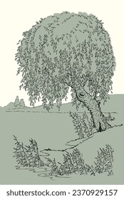 Outline vintage black ink pen hand drawn peace calm fall brook path scene retro art doodle line engrave style. Closeup quiet creek cane grass plant land bank scenic view white sky text space backdrop