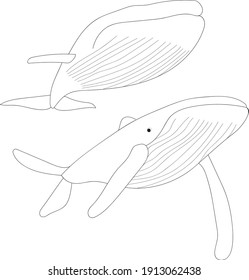 Outline of a whale. vector whale. Print.
Coloring whales