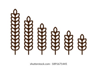 Outline wheat icon or wheat symbol. Barley spike or corn ear. Bakery, bread or agriculture logo concept. Line grain sign. Vector illustration