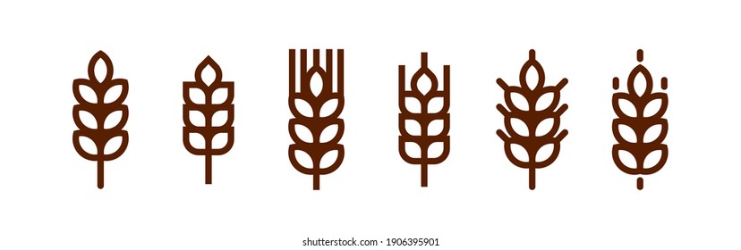 Outline wheat icon or wheat symbol. Barley spike or corn ear. Bakery, bread or agriculture logo concept. Line grain sign. Vector illustration