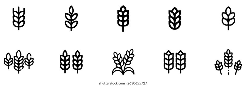 Outline wheat icon or wheat symbol. Barley spike or corn ear. Bakery, bread or agriculture logo concept. Line grain sign. Vector illustration. Vector Graphic. EPS 10