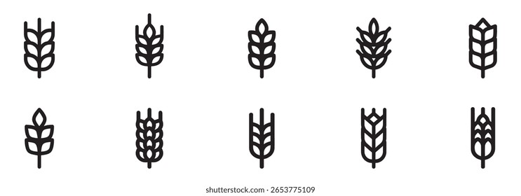 Contornar o ícone ou símbolo do trigo. Espiga de cevada ou espiga de milho. Conceito de logotipo de panificação, pão ou agricultura. Sinal de grão de linha. Ilustração vetorial. Gráfico vetorial. EPS 10