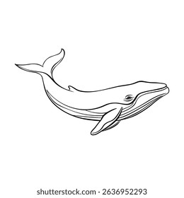 Outline while icon. Realistic sketch, minimal animal doodle. Line art, vector logo design.