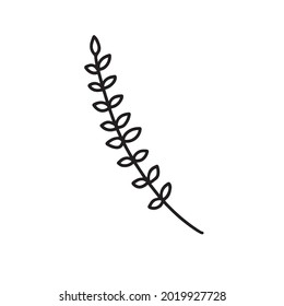 The outline of a wildflower is a hand-drawn element. Herbaceous and meadow plant, grass. Herbs doodle botanical icon. Vector illustration, isolated on white background.
