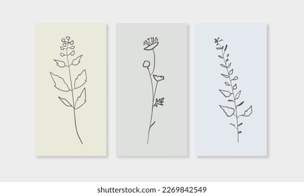 Outline Wildflowers twigs on color background in line art style. Greenery vector illustration in minimalist style.