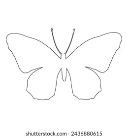 Outline of a winged insect butterfly. Vector graphics.