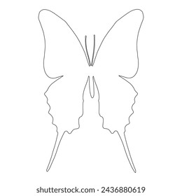 Outline of a winged insect butterfly. Vector graphics.