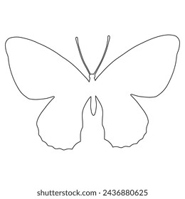 Outline of a winged insect butterfly. Vector graphics.