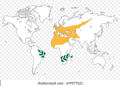 An Outline of the World with the Flag of Cyprus