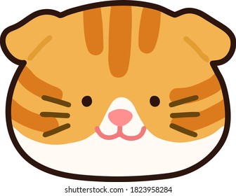 Outlined adorable orange Scottish fold cat