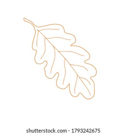 Outlined autumn leaf with colored contour isolated object for seasonal design, simple fall ornament collection in hand drawn doodle style card, invitations, Thanksgiving